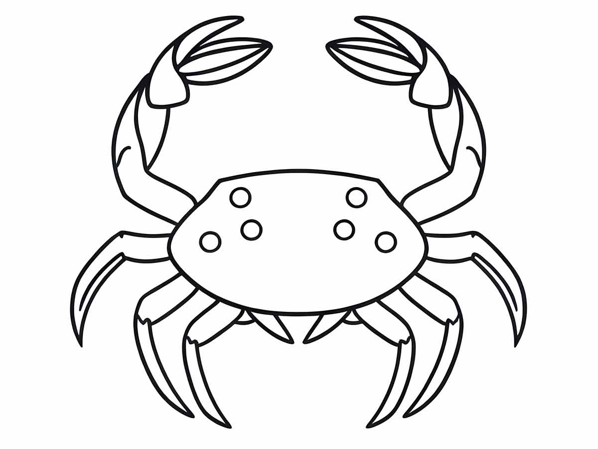 Sea crab to color