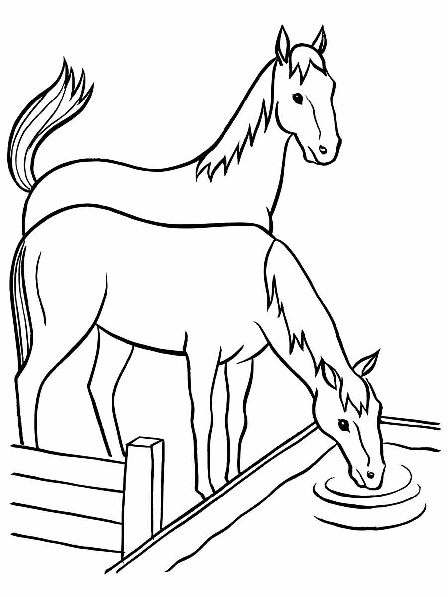 Simple Horse Coloring Page for Teachers 2