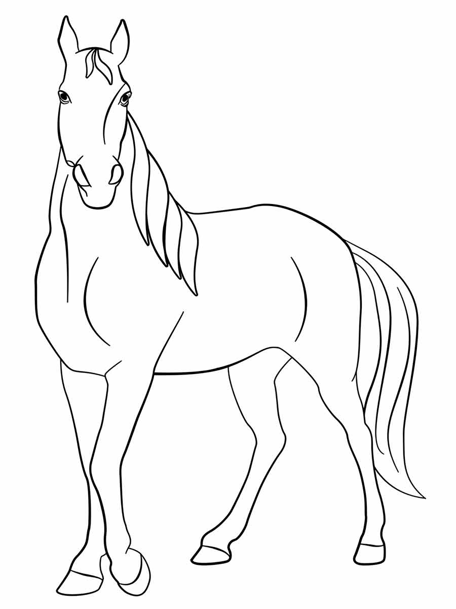 Simple Horse Coloring Page for Teachers