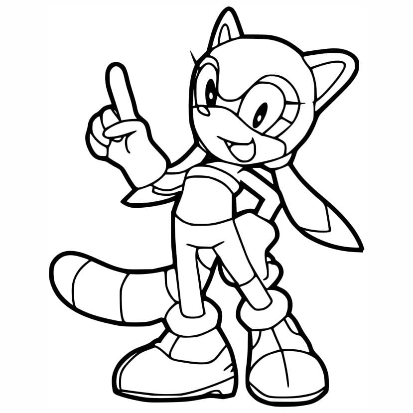 Coloring page of Sonic the Hedgehog with Marine the Raccoon.