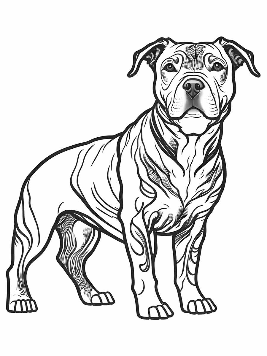 Staffordshire Terrier side view coloring page