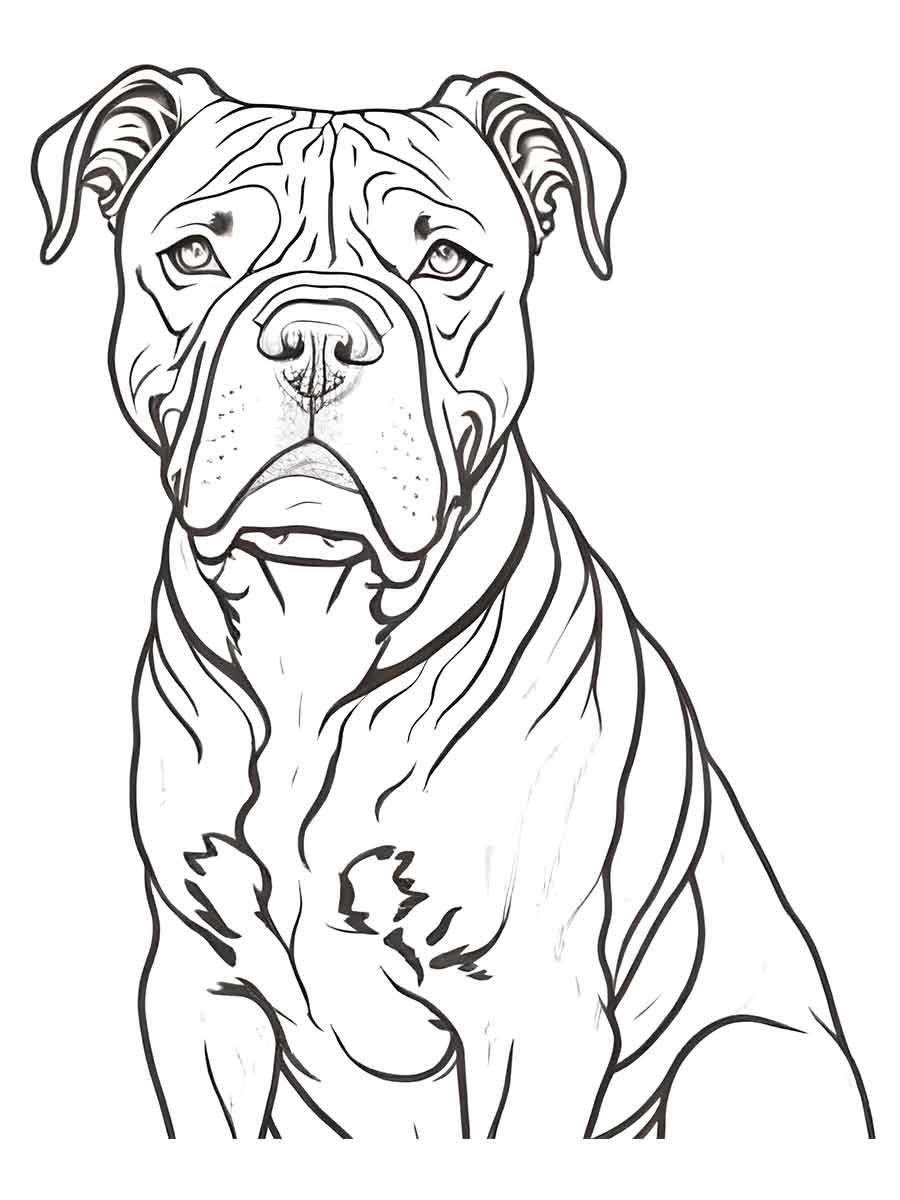 Staffordshire Terrier sitting coloring page