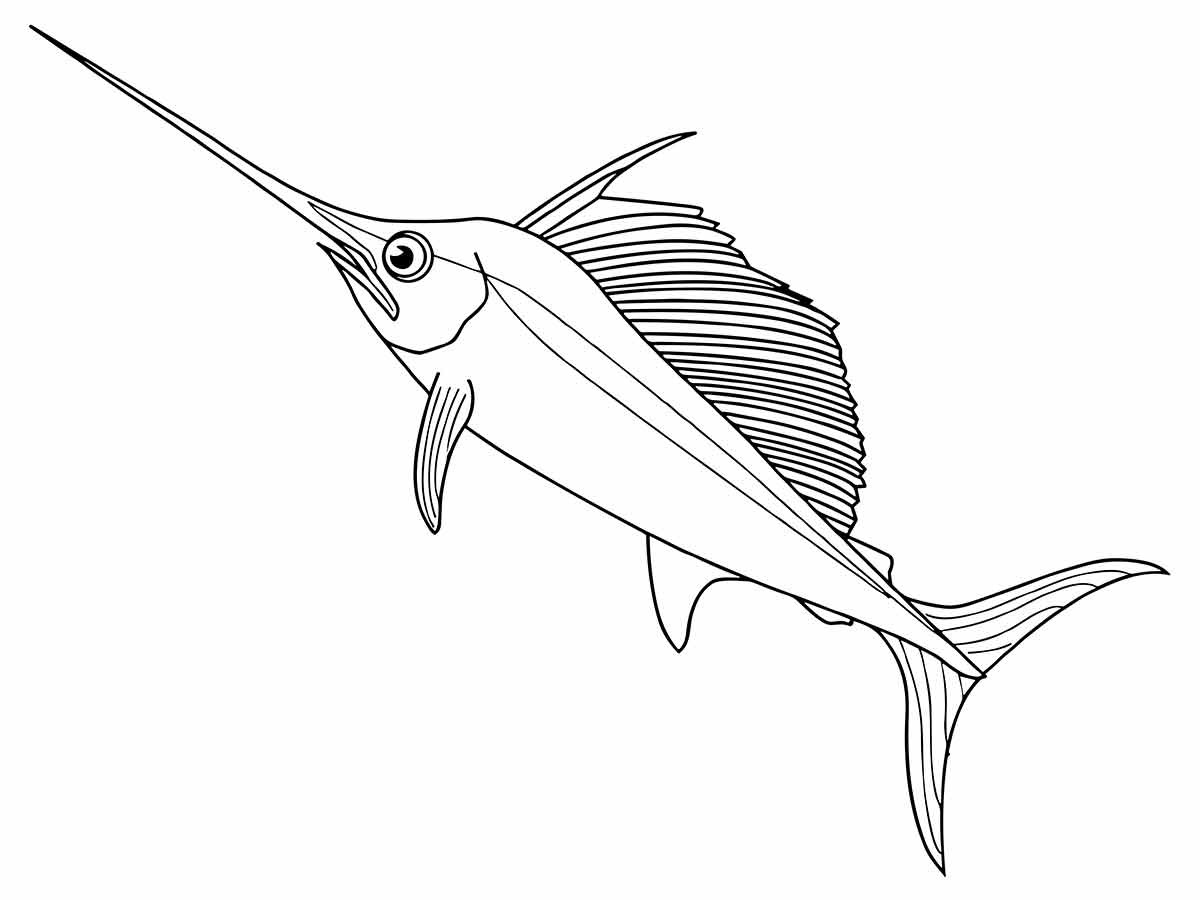 Swordfish to color