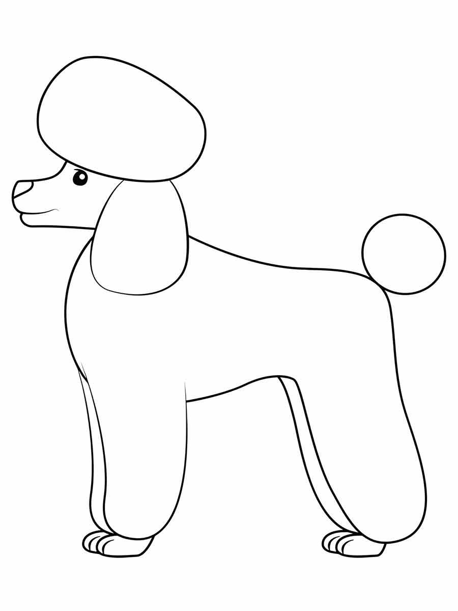 Traditional poodle coloring page