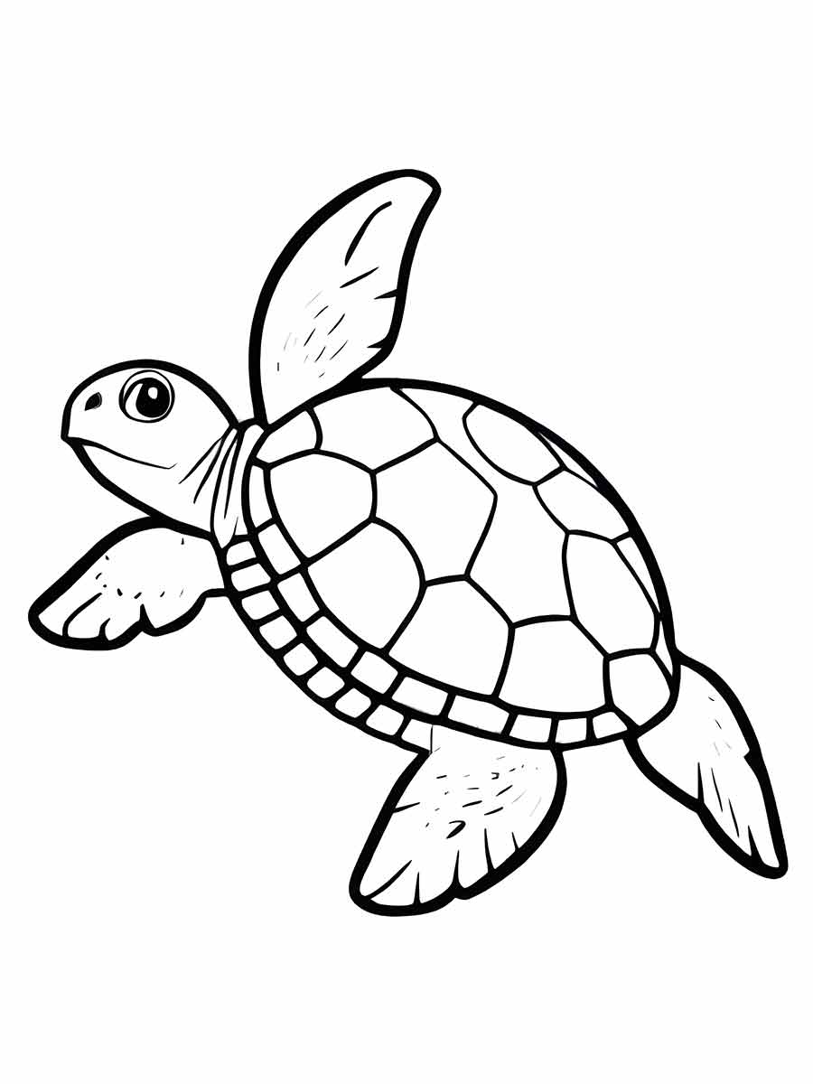 Turtle Coloring Page