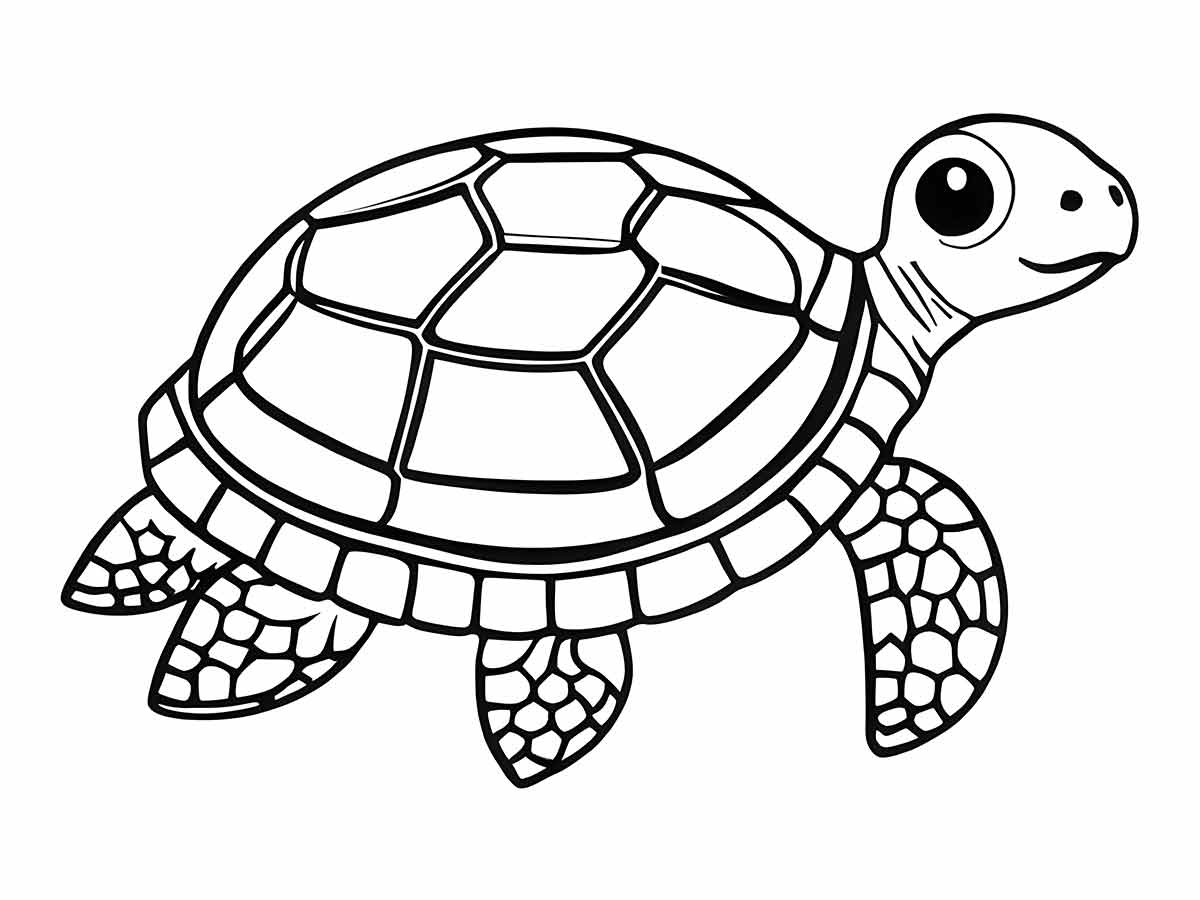 Turtle Coloring Page