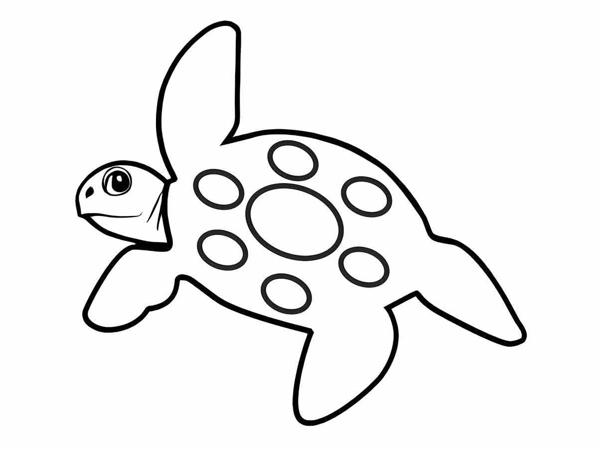 Turtle Coloring Page