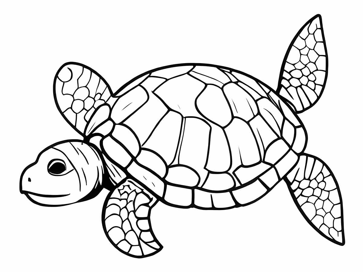 Turtle Coloring Page