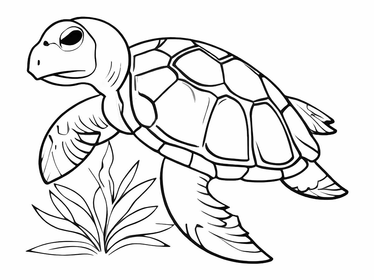 Turtle Coloring Page