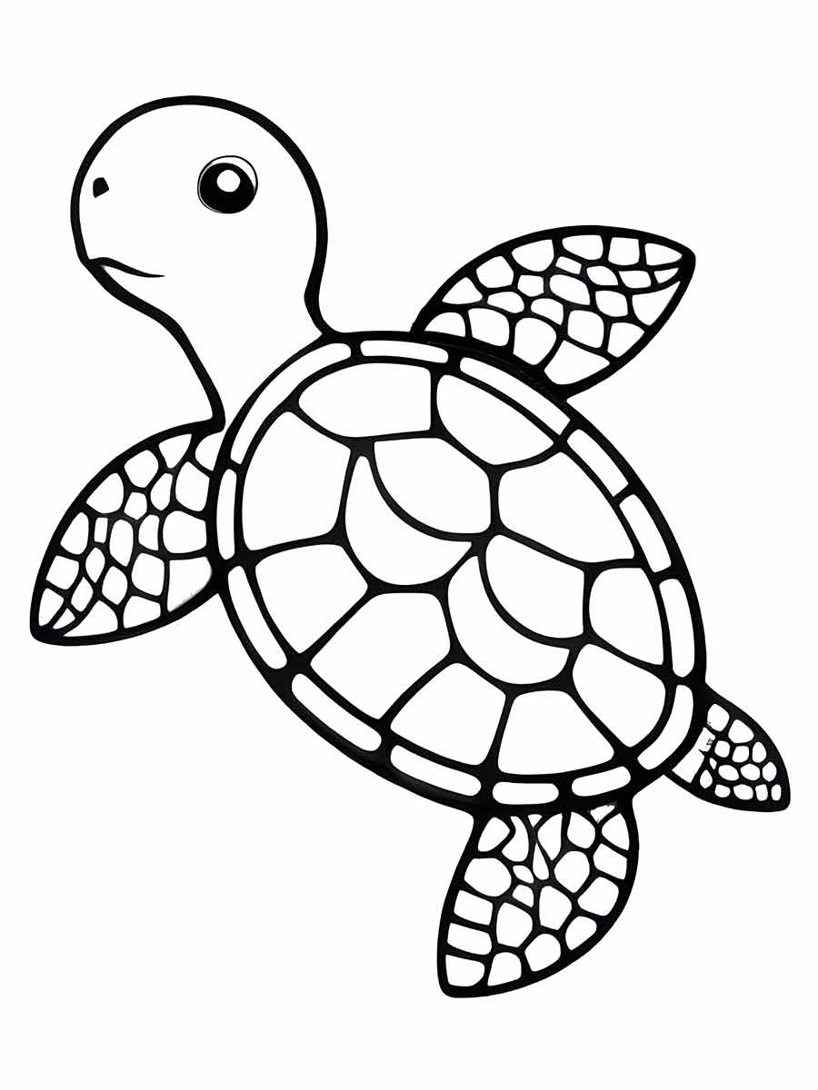 Turtle Coloring Page