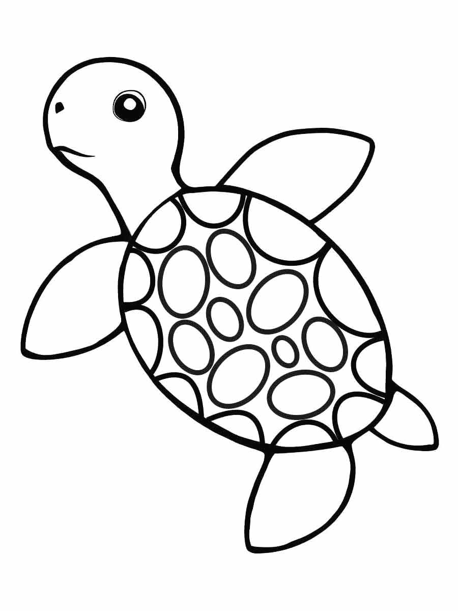 Turtle Coloring Page