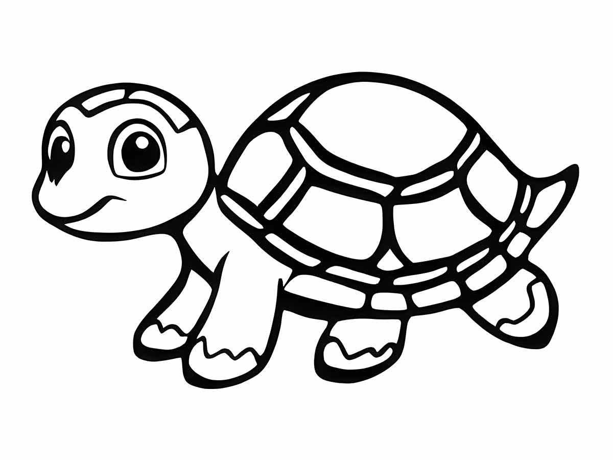 Turtles Coloring Page