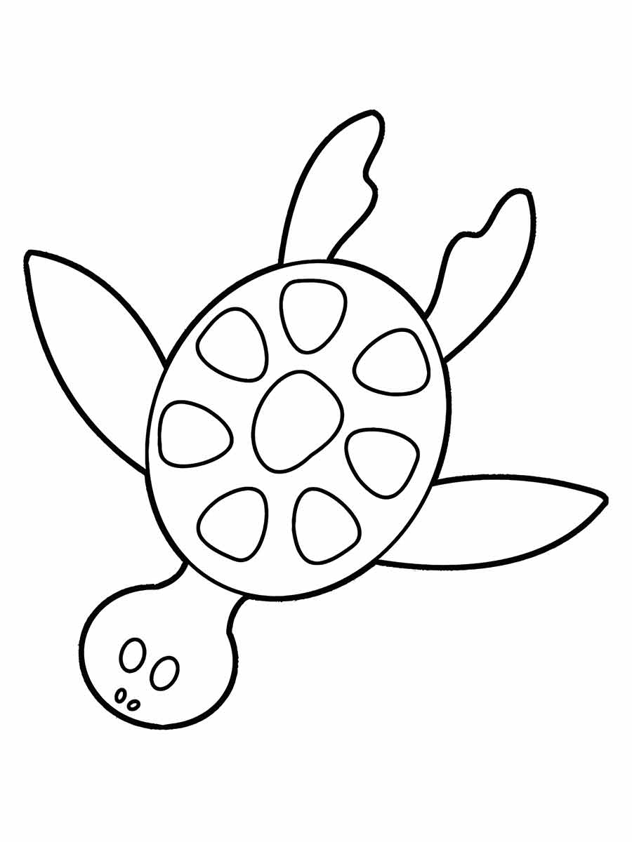 Turtle Coloring Page Round Shell with Spots