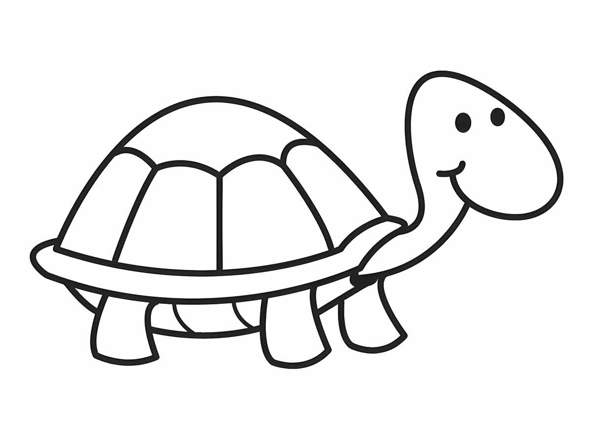 Turtle Coloring Page Smiling