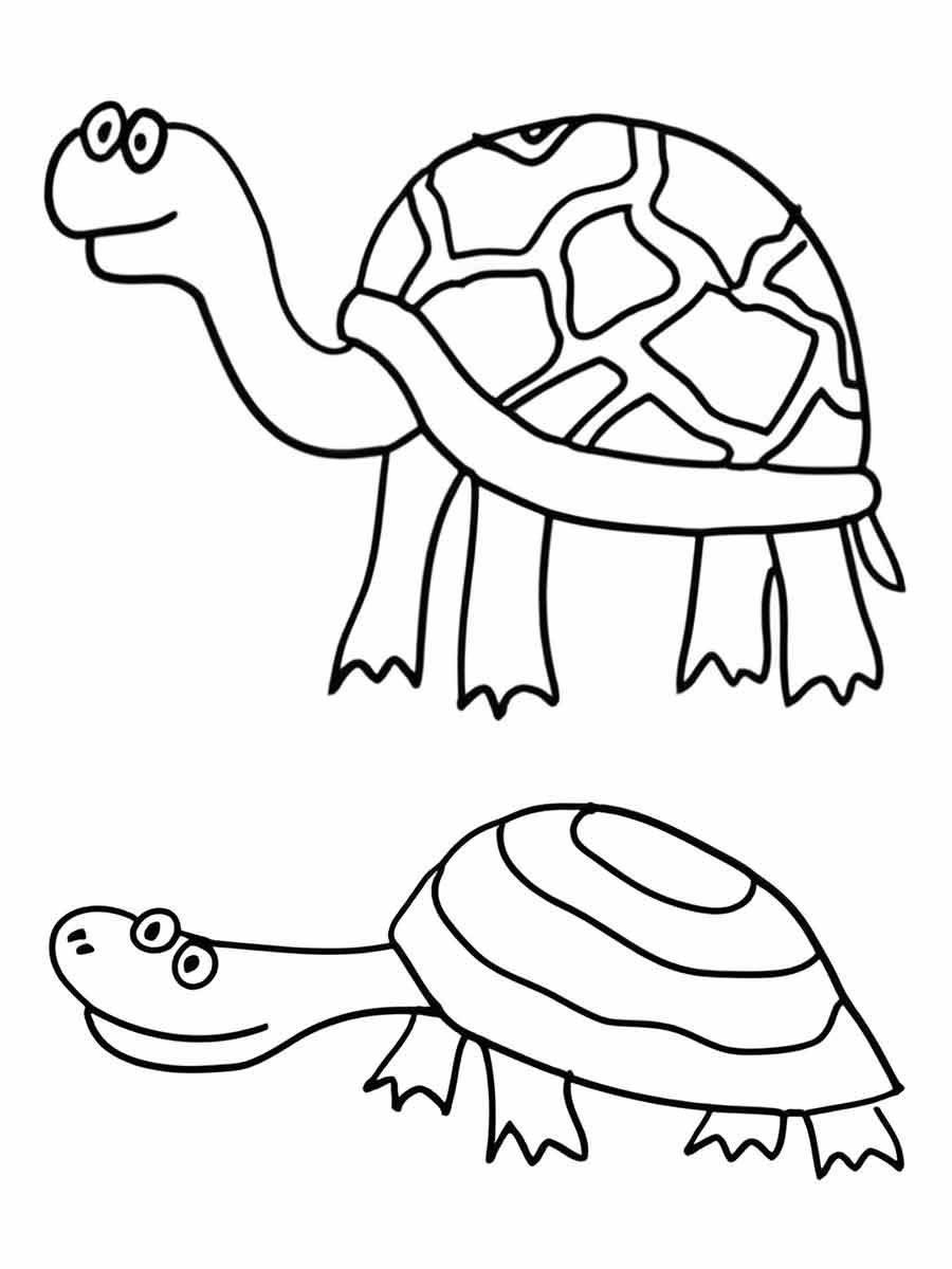 Turtle Coloring Page Two Turtles