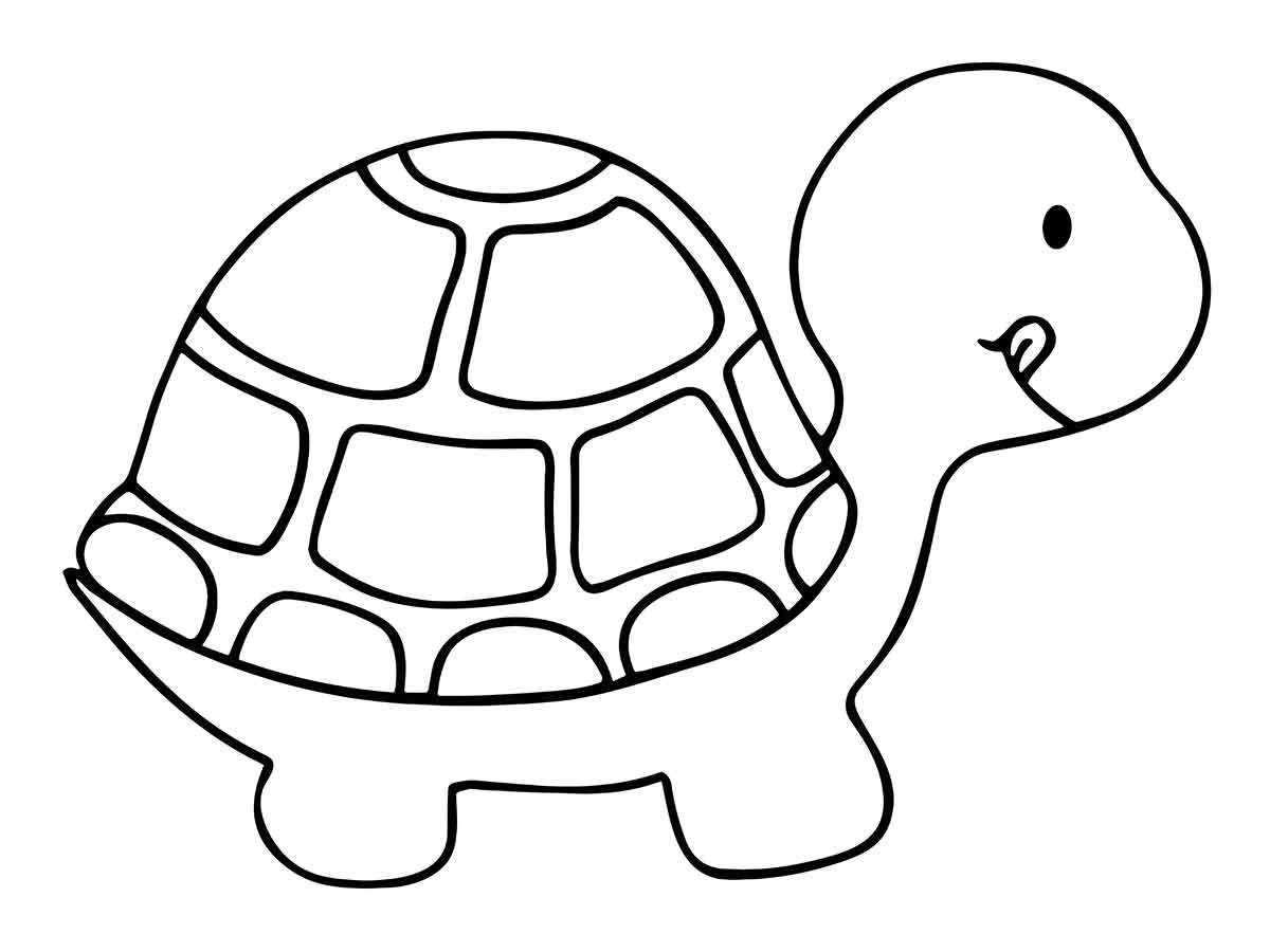 Turtle Drawing Page