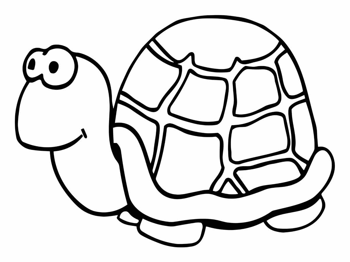 Turtle Drawing Page