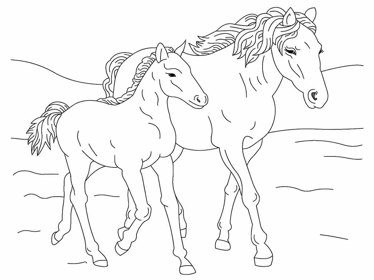 Walking Horses Coloring Page