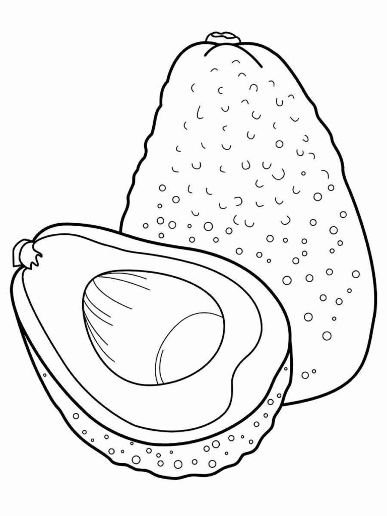 avocado coloring page