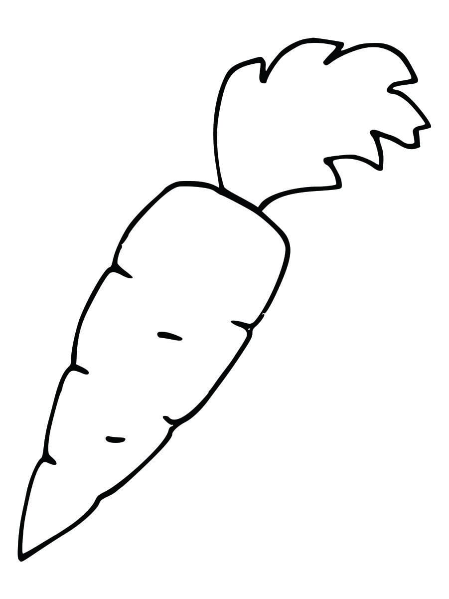 Coloring page of a carrot for kids