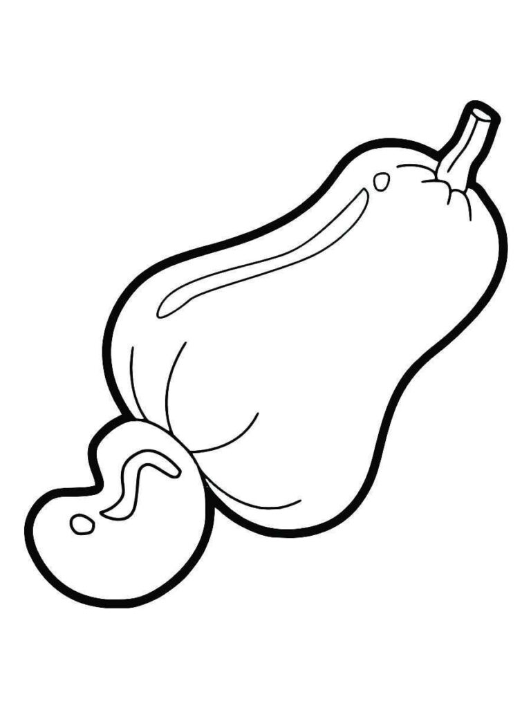 cashew coloring page