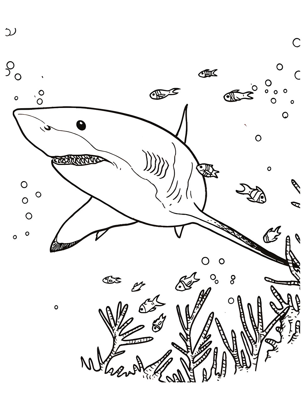 Children's coloring page of a shark.