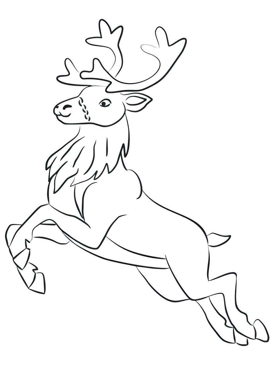 Coloring pages of a reindeer