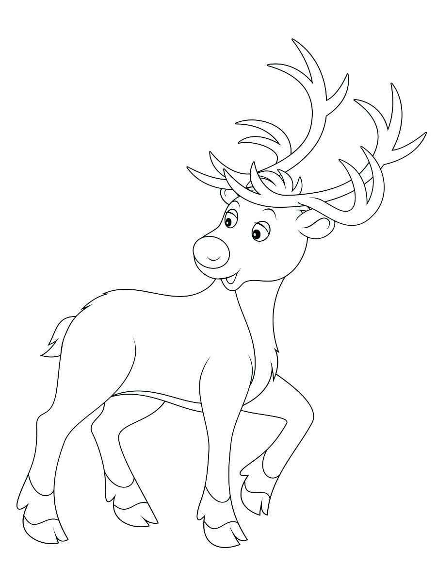 Coloring pages of a reindeer