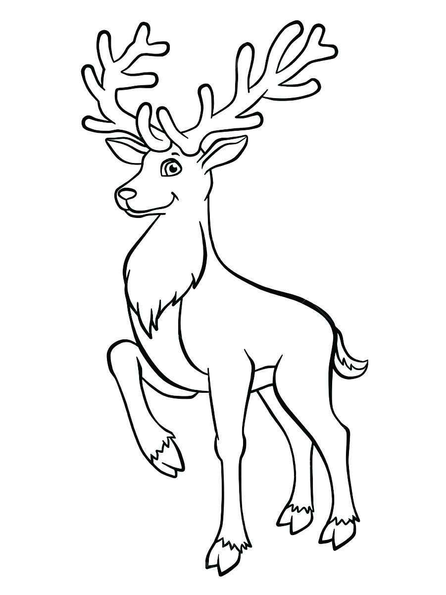 Christmas reindeer coloring page.