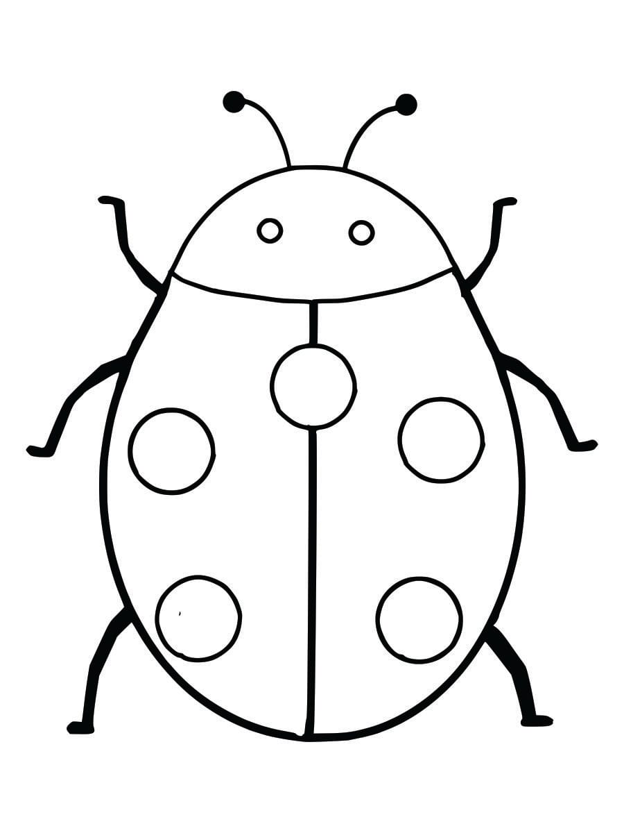 Coloring page of a cockroach for kids