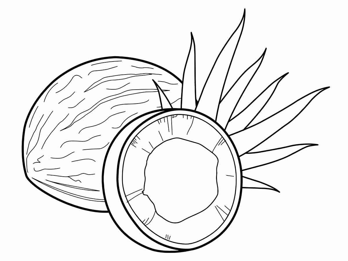 coconut coloring page 2