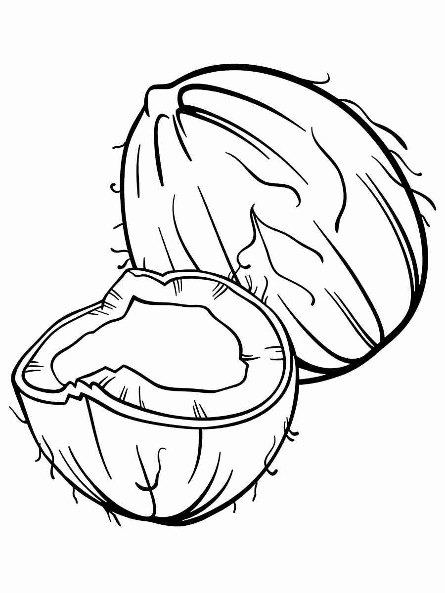 coconut coloring page