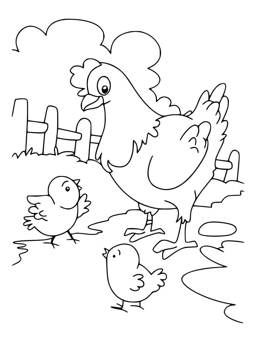 Coloring page of a chicken, simple and easy for children to color.