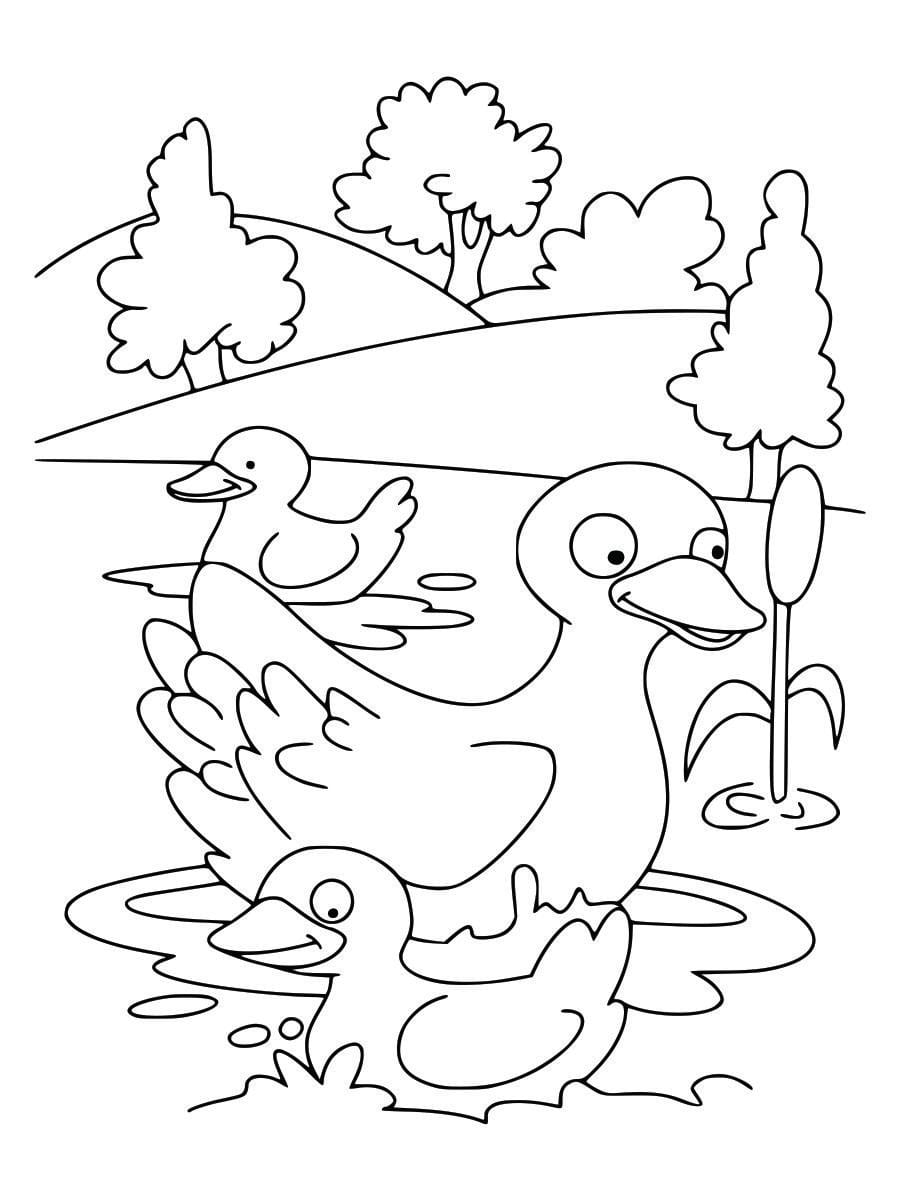 Coloring page of a duck, simple lines for kids to color.