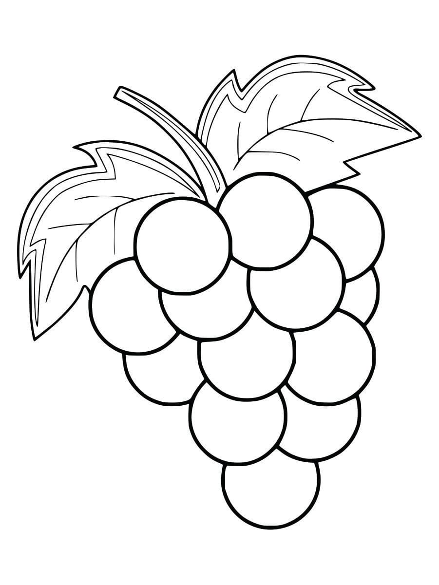 Coloring page of a bunch of grapes, fun and easy for kids to color.