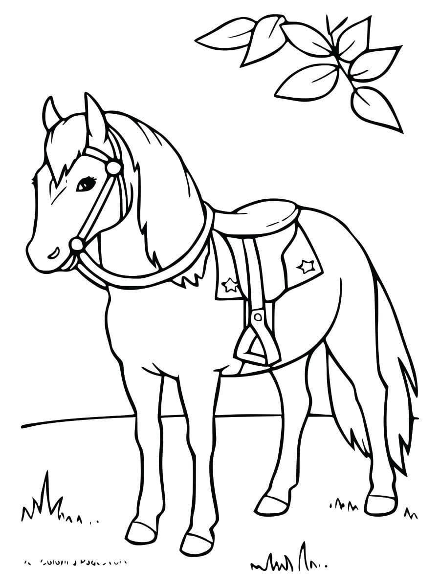 Coloring page of a horse, easy for children to color.