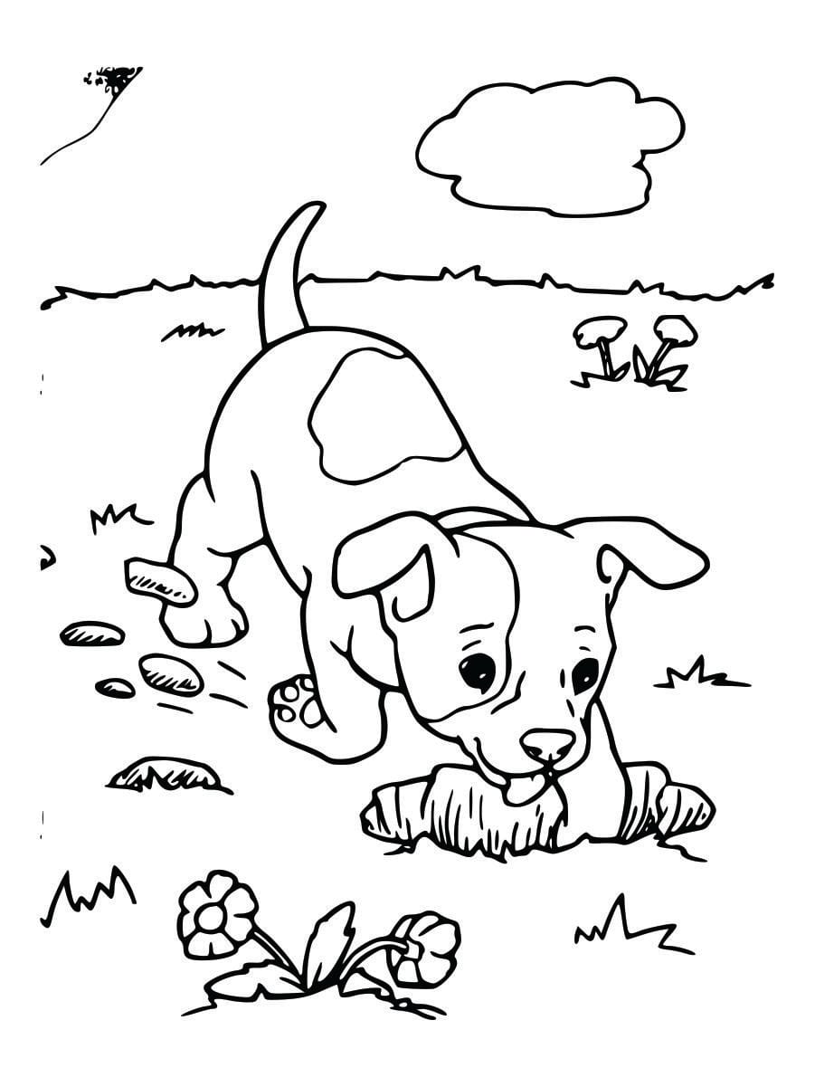 Coloring page of a puppy, simple and fun for kids to color.