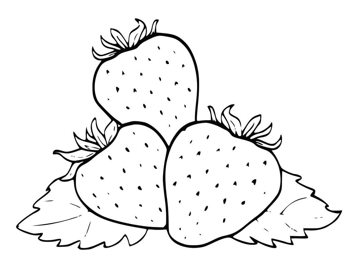 Coloring page of a strawberry, fun and easy for kids to color.