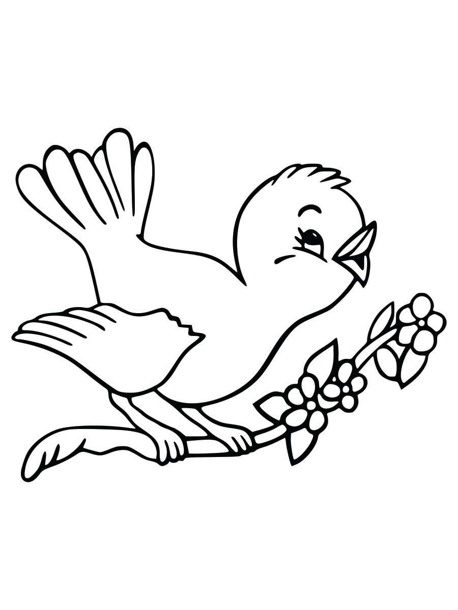 Coloring page of a bird on a branch, easy and fun for kids.