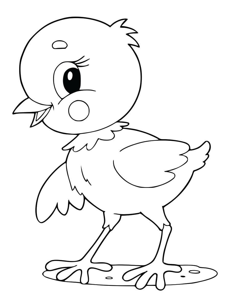 Coloring page of a chick, simple and fun for kids to color.