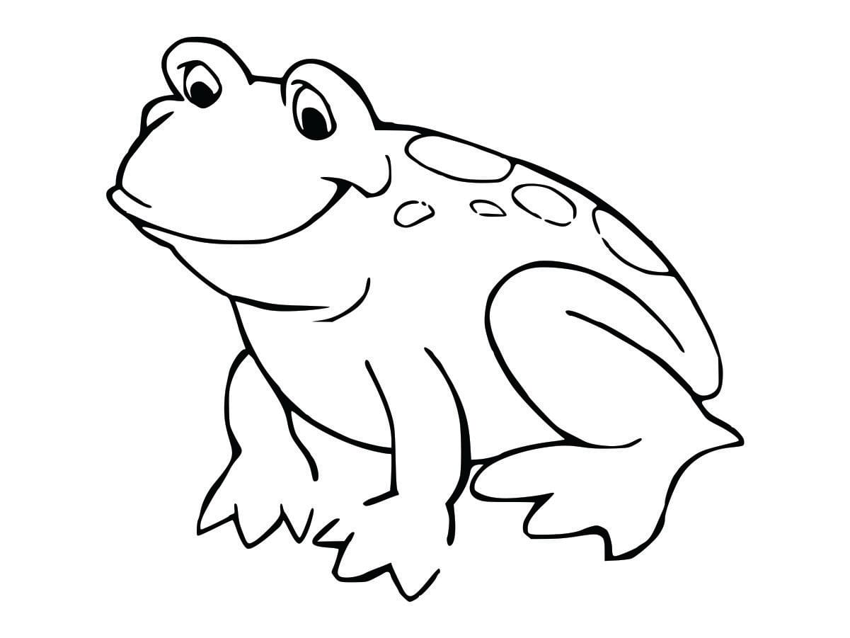 Coloring page of a frog, designed to be fun and simple for kids.