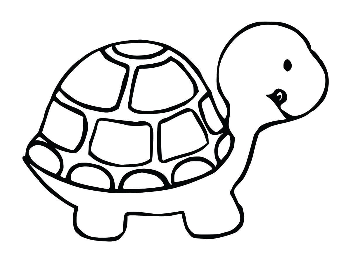 Coloring page of a turtle, designed to be simple and fun for kids.