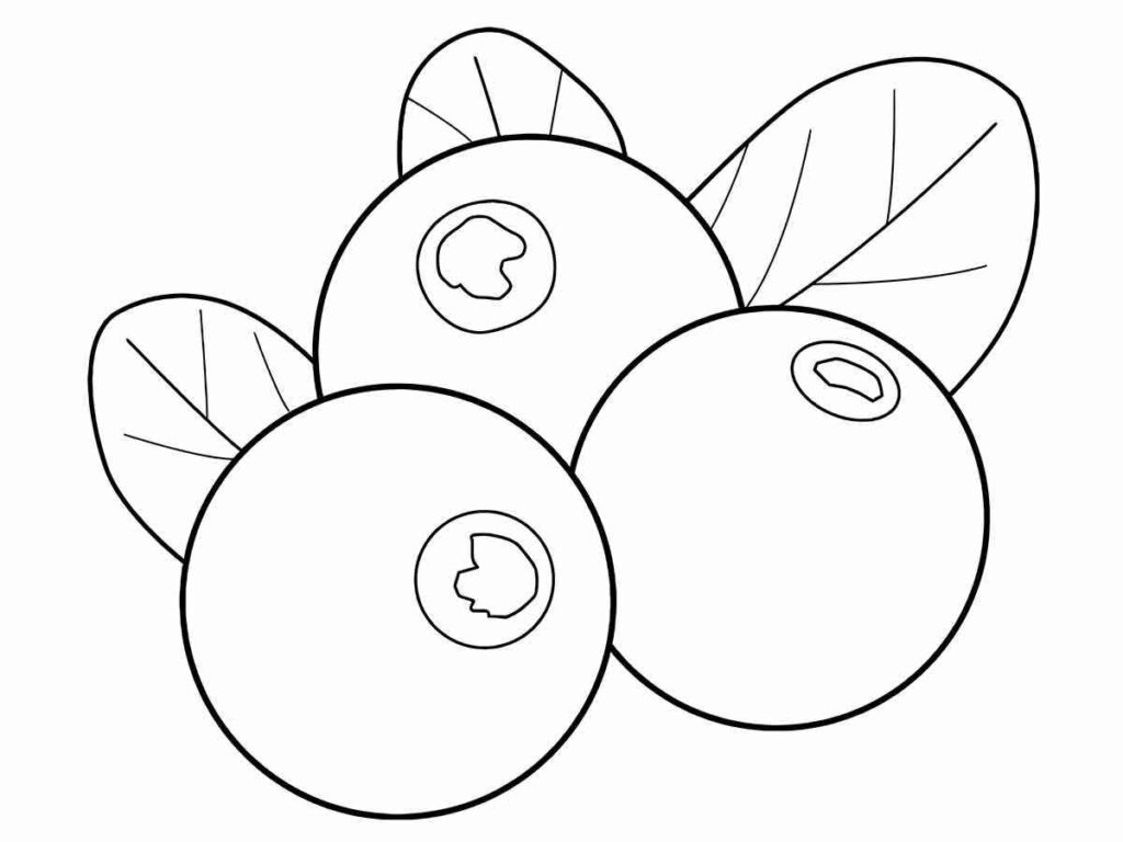 cranberry coloring page