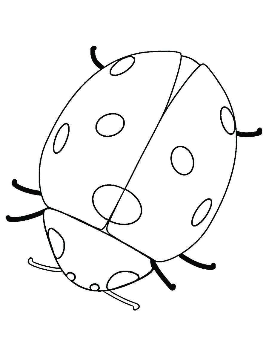 Easy cute ladybug coloring page.