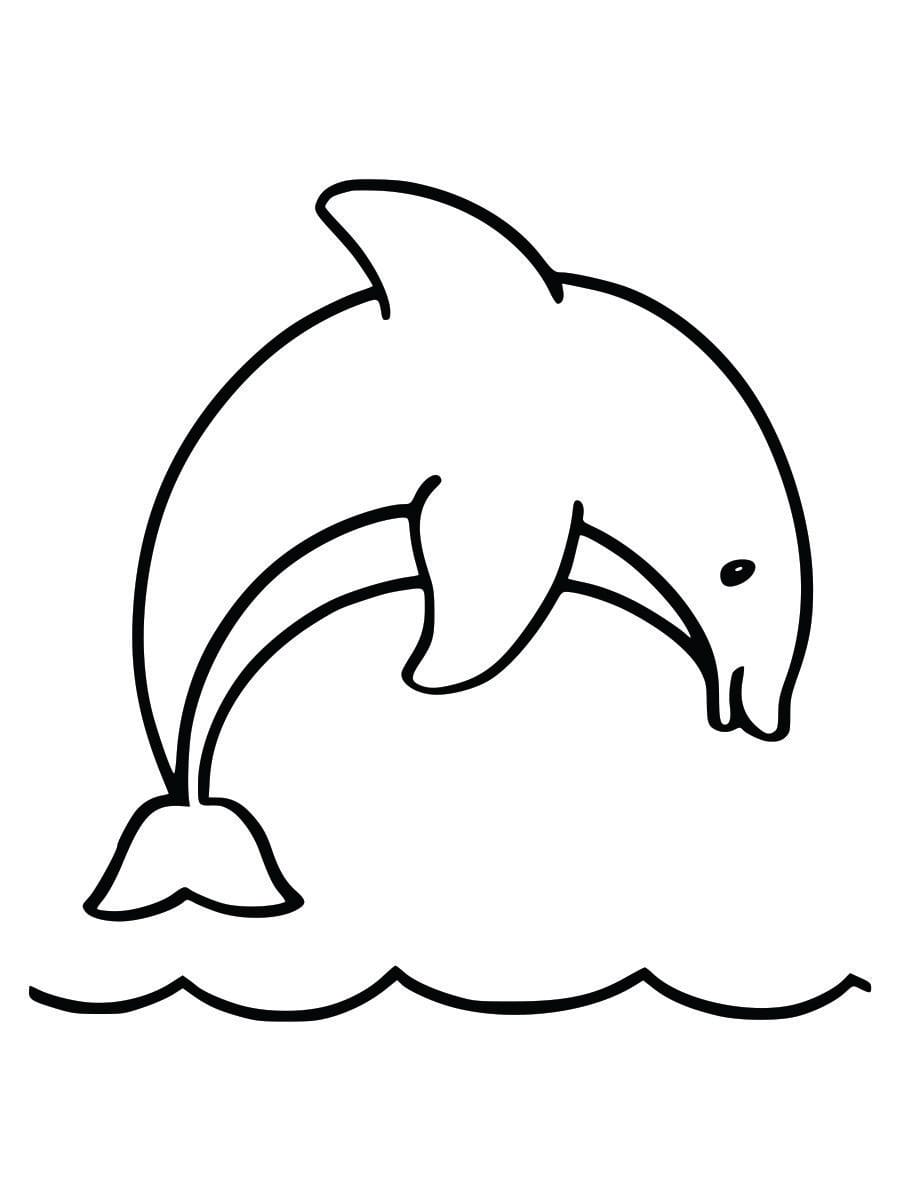 Coloring page of a dolphin for kids