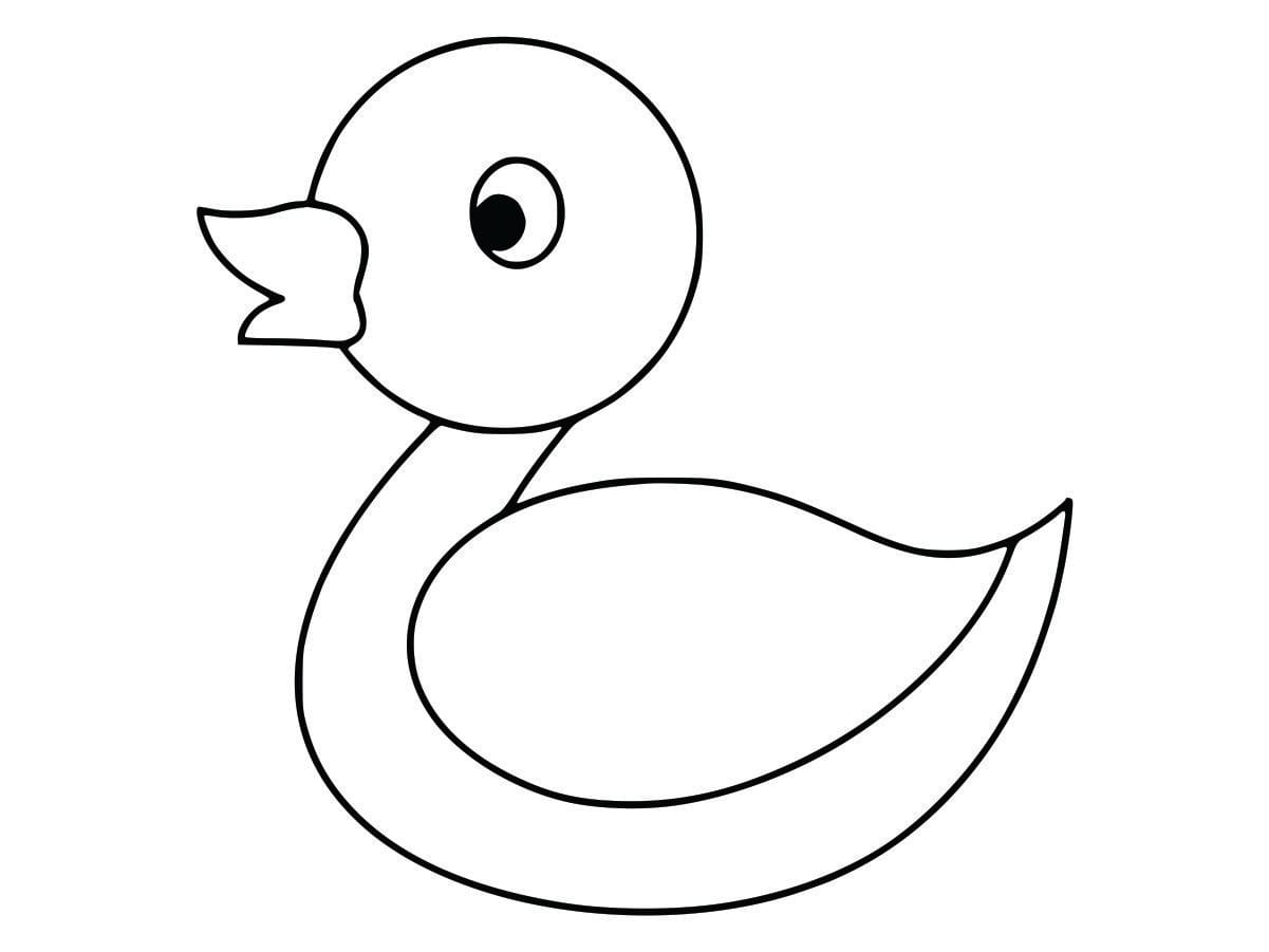 Coloring page of a duck for kids