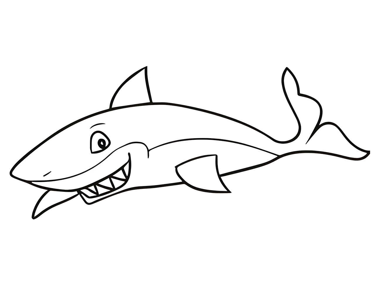 Shark Sketch to Color