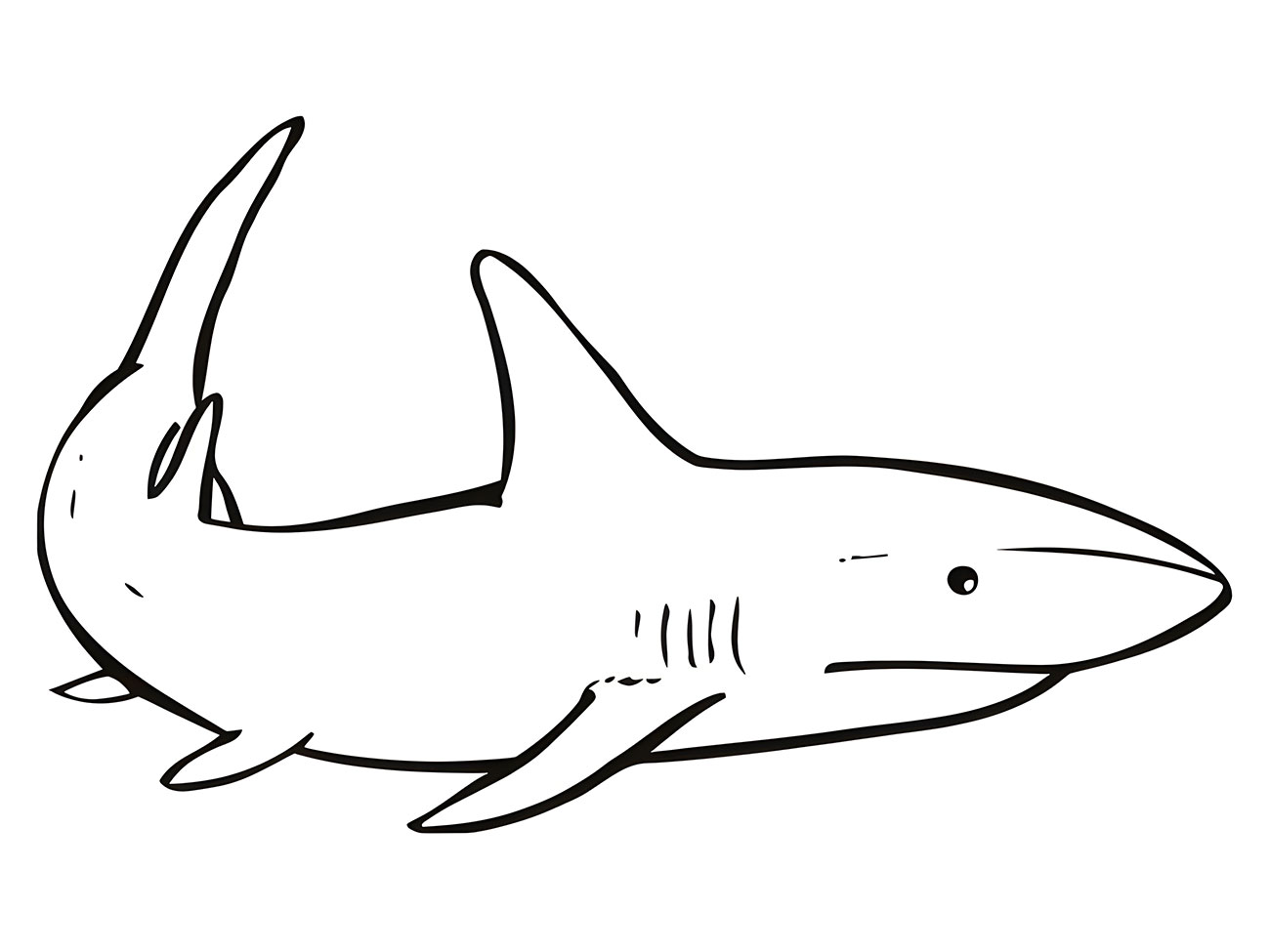 Simple Shark Coloring Sheet