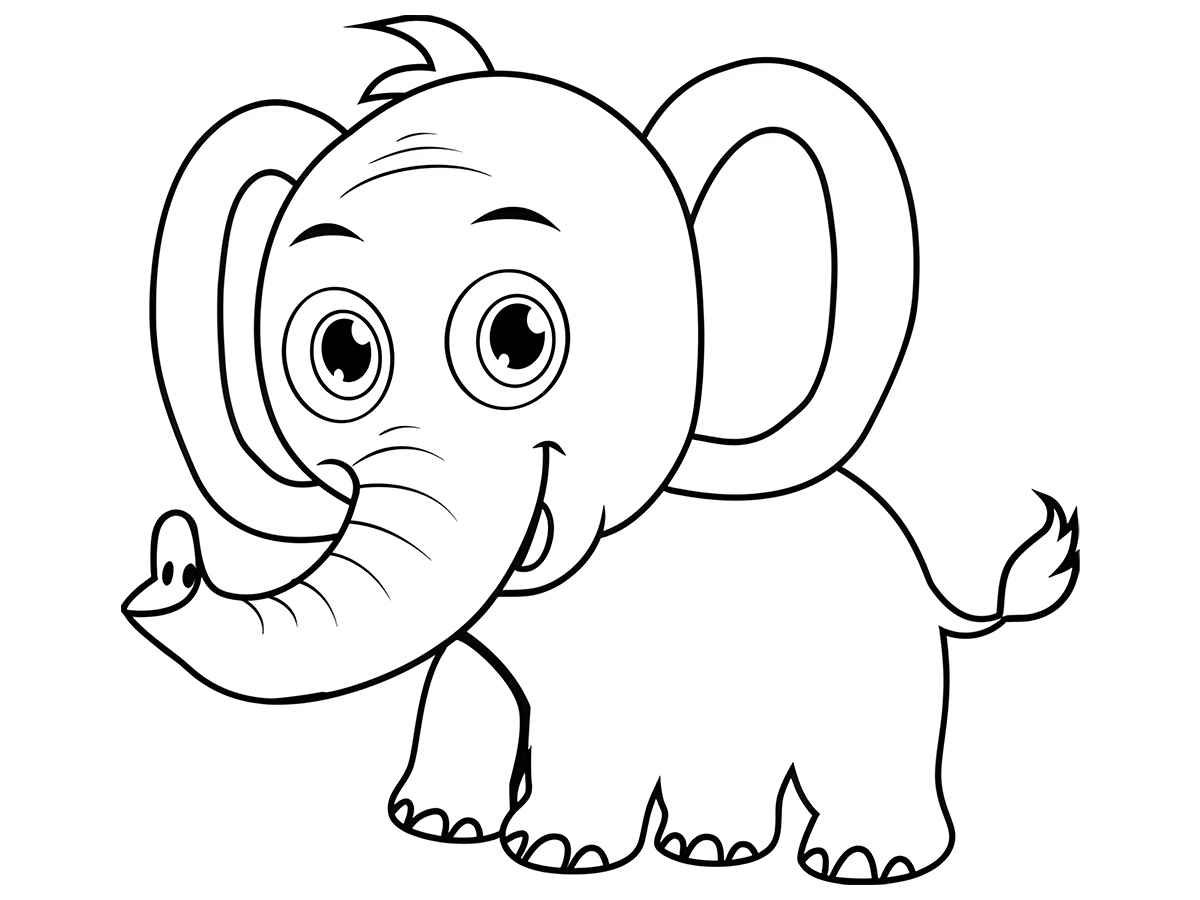 Elephant coloring page education