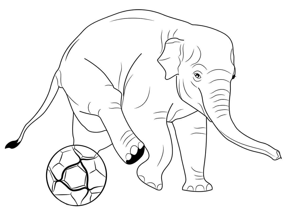 Elephant coloring page to paint number 2